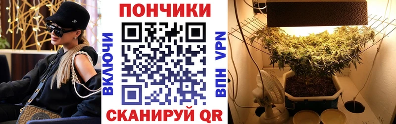 Купить наркоту Нижняя Тура Бутират  Меф  АМФ  Галлюциногенные грибы  A-PVP  Марихуана  КОКАИН 
