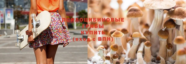 первитин Арсеньев