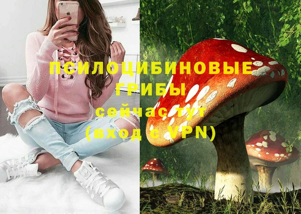 первитин Арсеньев