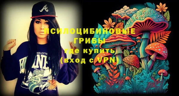 первитин Арсеньев